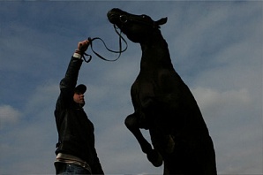 Тодоров день – праздник коневодов и конного спорта