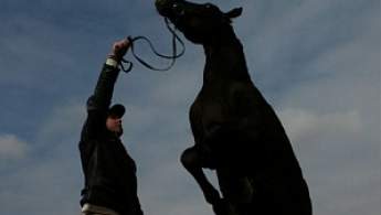 Тодоров день – праздник коневодов и конного спорта